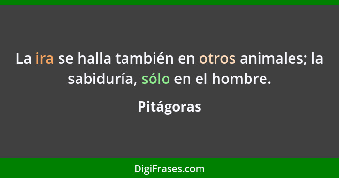 La ira se halla también en otros animales; la sabiduría, sólo en el hombre.... - Pitágoras