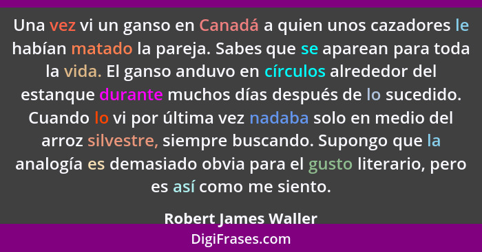 Una vez vi un ganso en Canadá a quien unos cazadores le habían matado la pareja. Sabes que se aparean para toda la vida. El gans... - Robert James Waller