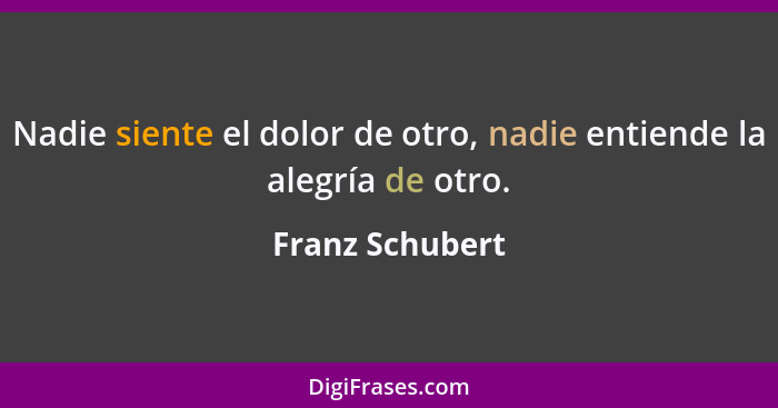 Nadie siente el dolor de otro, nadie entiende la alegría de otro.... - Franz Schubert