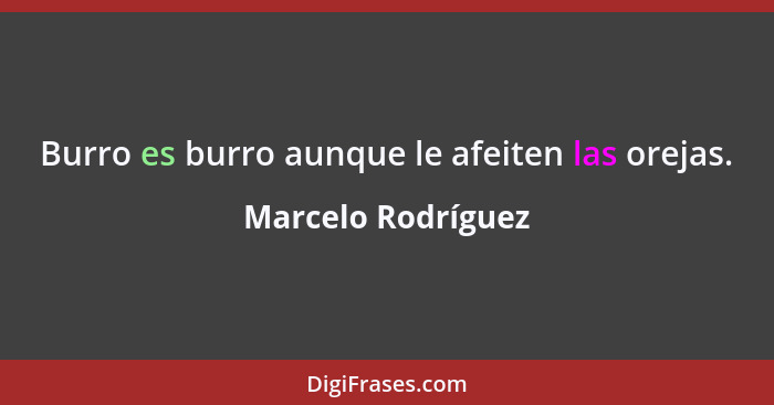 Burro es burro aunque le afeiten las orejas.... - Marcelo Rodríguez