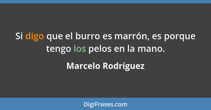 Si digo que el burro es marrón, es porque tengo los pelos en la mano.... - Marcelo Rodríguez