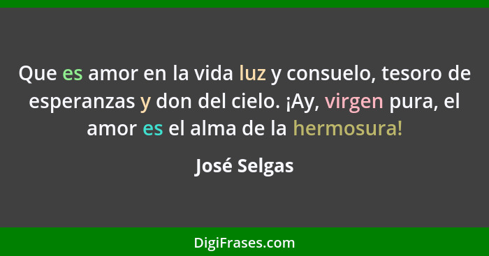 Que es amor en la vida luz y consuelo, tesoro de esperanzas y don del cielo. ¡Ay, virgen pura, el amor es el alma de la hermosura!... - José Selgas