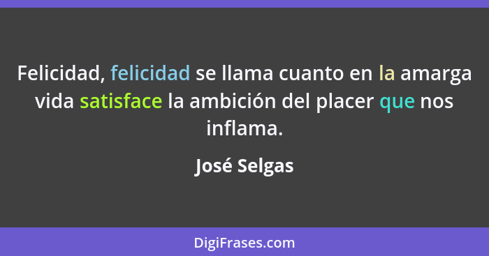 Felicidad, felicidad se llama cuanto en la amarga vida satisface la ambición del placer que nos inflama.... - José Selgas