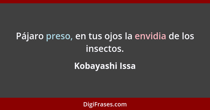 Pájaro preso, en tus ojos la envidia de los insectos.... - Kobayashi Issa