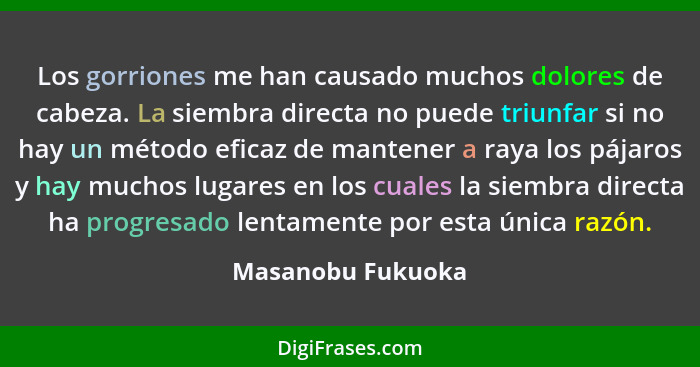 Los gorriones me han causado muchos dolores de cabeza. La siembra directa no puede triunfar si no hay un método eficaz de mantener... - Masanobu Fukuoka