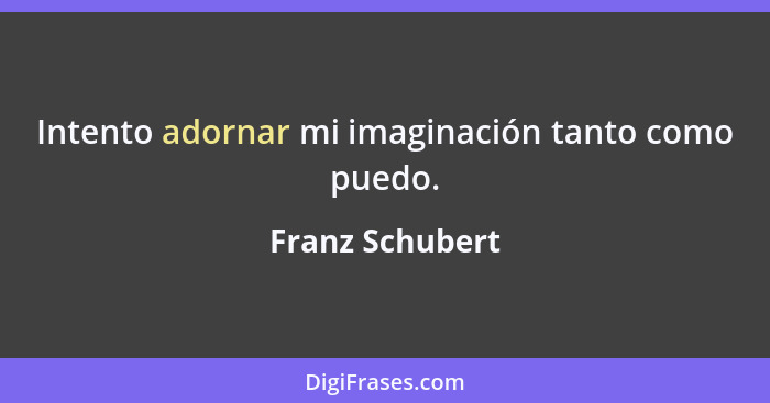 Intento adornar mi imaginación tanto como puedo.... - Franz Schubert