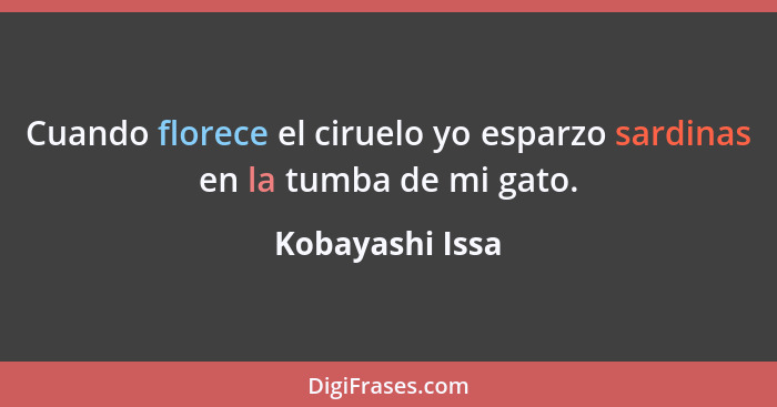 Cuando florece el ciruelo yo esparzo sardinas en la tumba de mi gato.... - Kobayashi Issa